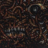 I CLIMBED OUT OF CUNT COVERED IN BLOOD, I WAS BORN THIS WAY