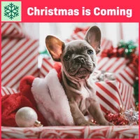 Christmas Is Coming