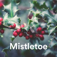 Mistletoe
