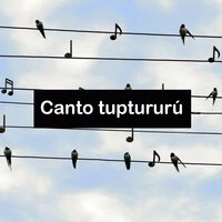 Canto tuptururú