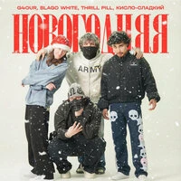 НОВОГОДНЯЯ