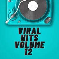 Viral Hits Volume 12