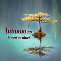 Autunno 2020 Suoni & colori