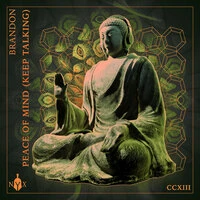 Peace Of Mind (Keep Talking)