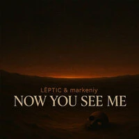 Now You See Me