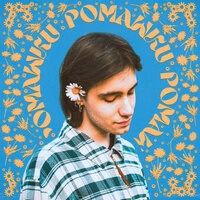 Ромашки