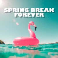 Spring Break Forever