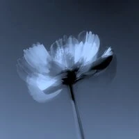 Think About