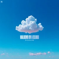 Walking On A Cloud