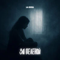 За пеленой