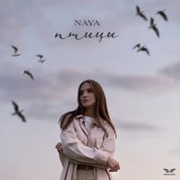 Птицы