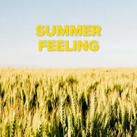 Summer Feeling
