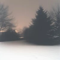 The Night Garden