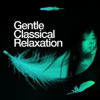Gentle Classical Relaxation