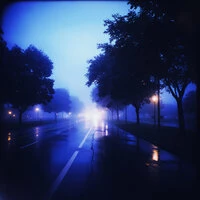 Summer Nights
