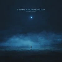 I made a wish under the star