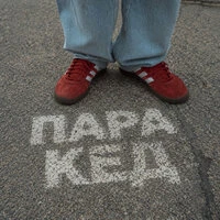 Пара кед