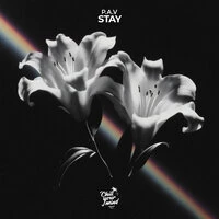 Stay