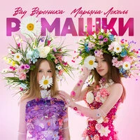 Ромашки