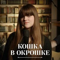 Кошка в окрошке