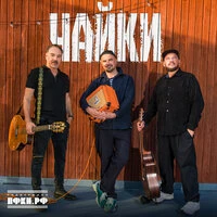 Чайки