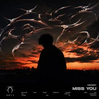 Miss You