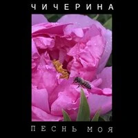 Песнь моя
