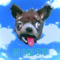 monty (^ᴥ^)