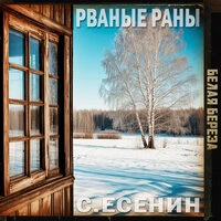 Белая берёза