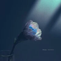 Evermore