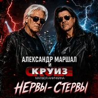 Нервы-Стервы