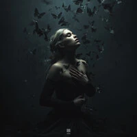 Let Me Fly