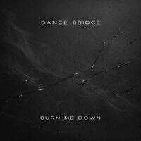 Burn Me Down
