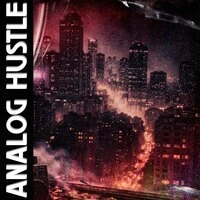 ANALOG HUSTLE