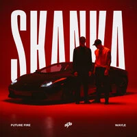 Skanka