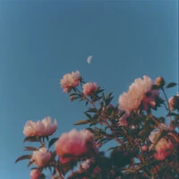New Day