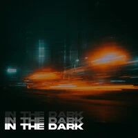 IN THE DARK