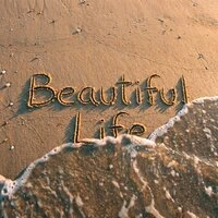 Beautiful Life