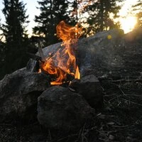 Forest Campfire in the Evening