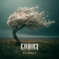 Вишня