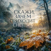 Скажи, зачем приходит снег...