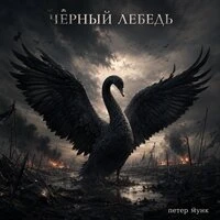 Чёрный лебедь