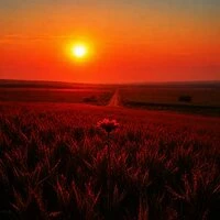 Цветик Аленький