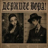 Держите вора