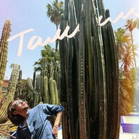 Таммм
