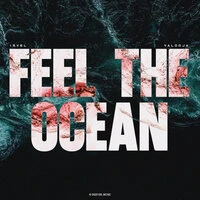 Feel The Ocean