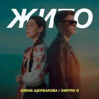 Жито