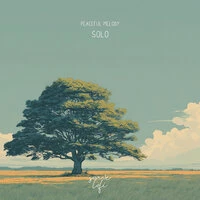 Solo
