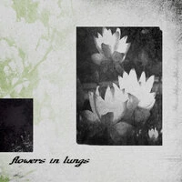 flowers in lungs