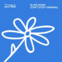 Slow Down (Can't Stop Thinking)